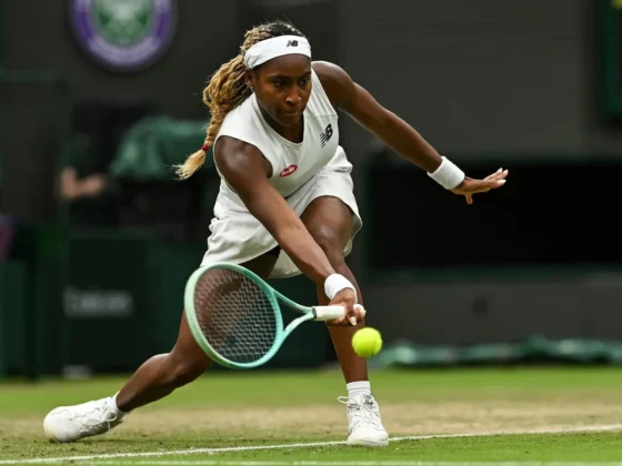 Warum Tennis‑Point.ch Jeden Schweizer Racketspieler Begeistern Wird