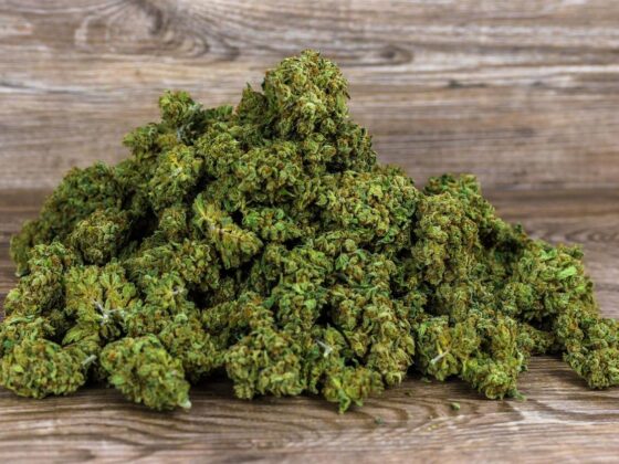 Lucky Hemp: Steigern Sie Ihr tägliches Wohlbefinden mit Premium-CBD – Blüten, Öle und mehr von Deutschlands vertrauenswürdiger Hanfmarke