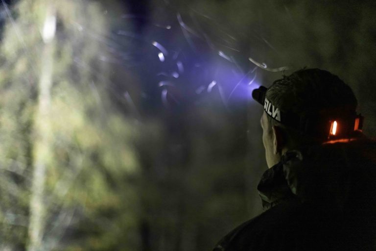 Light That Never Quits: Why Ledlenser Police Head Torches Earn Their Reputation