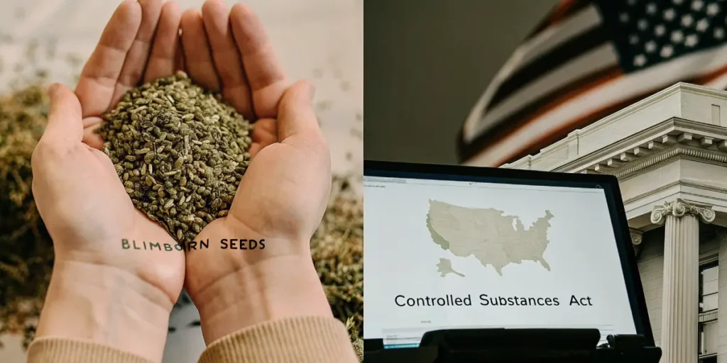 From Seed to Satisfaction: Why Blimburn Seeds is a Grower’s Dream Come True