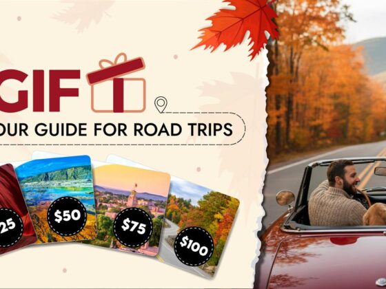 Discover More on Every Road with Action Tour Guide