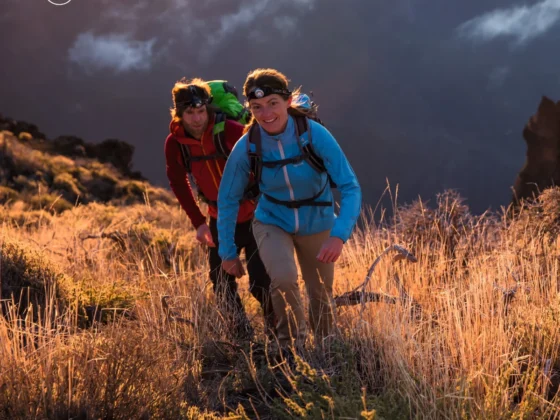 Why Your Phone Light Is a Toy: The Case for a Serious Torch