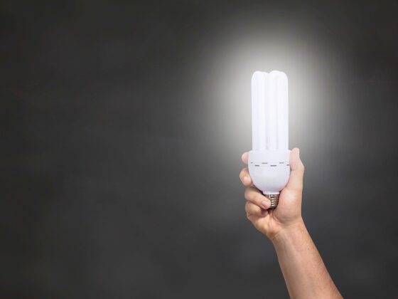 Innovationen, die begeistern: Wie Govee das Smart-Home-Erlebnis neu definiert