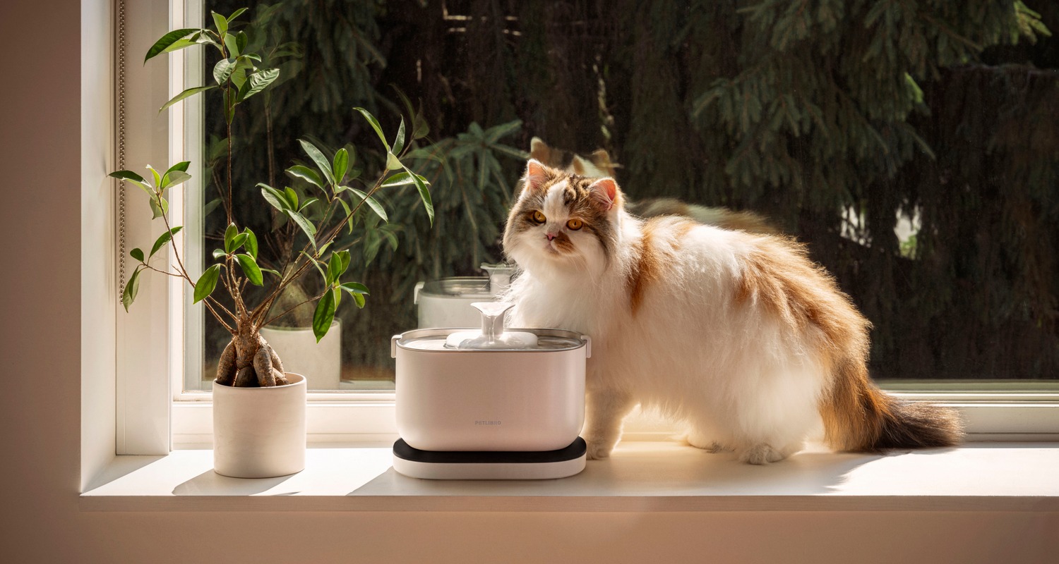 Why Petlibro Automatic Fountains Are Changing the Way Pets Drink