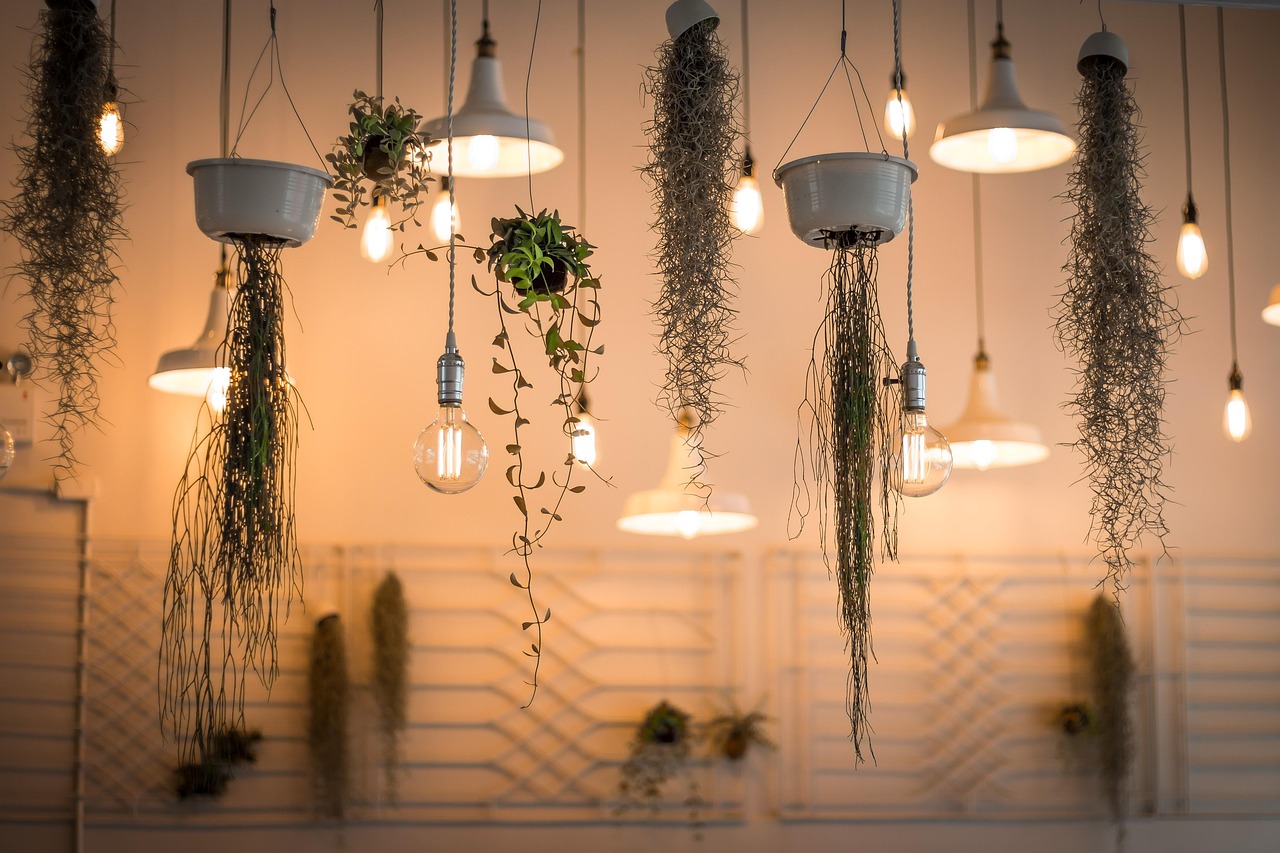 Glow Your Own Way: How Pooky’s Rechargeable Lighting and Autumn Trends Inspire Personal Style