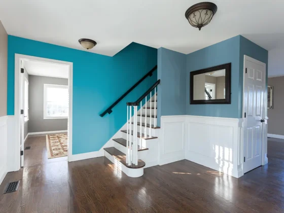 Transform Your Space with All In One Paint