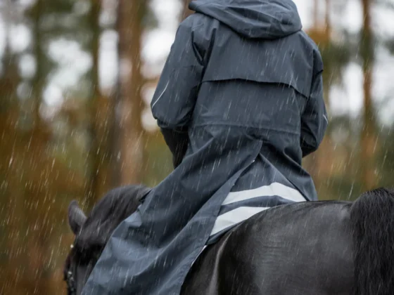 From Stable Yard to Saddle: Does GS Equestrian’s Affordable Gear Actually Last?
