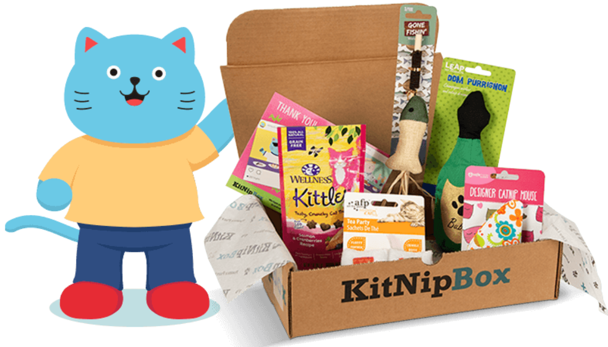 Why KitNipBox Makes Monthly Cat Treats and Toys Effortless