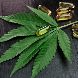 Releaf UK: Medical Cannabis for Mood Disorders in the UK