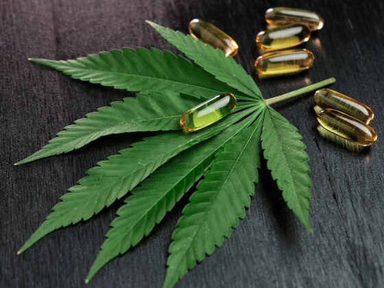 Releaf UK: Medical Cannabis for Pain Management in the UK