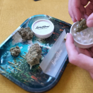 Releaf UK: Medical Cannabis for Pain Management in the UK