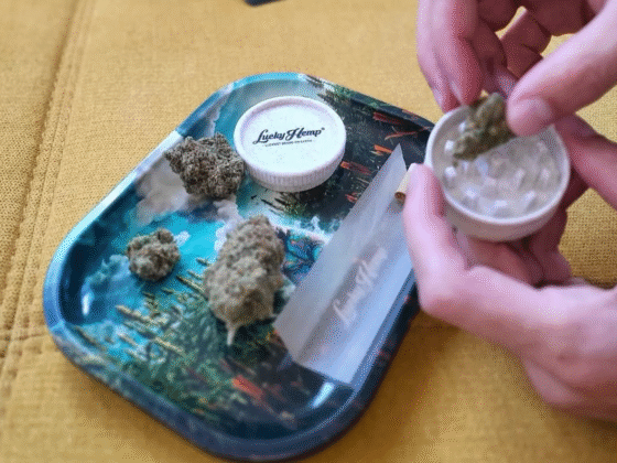With Lucky Hemp, Daily Calm Starts to Feel Natural Again