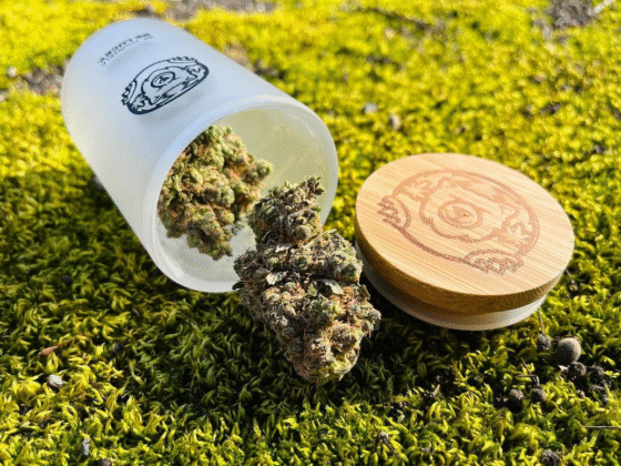 Lucky Hemp: Rooted in Calm for Everyday Ease