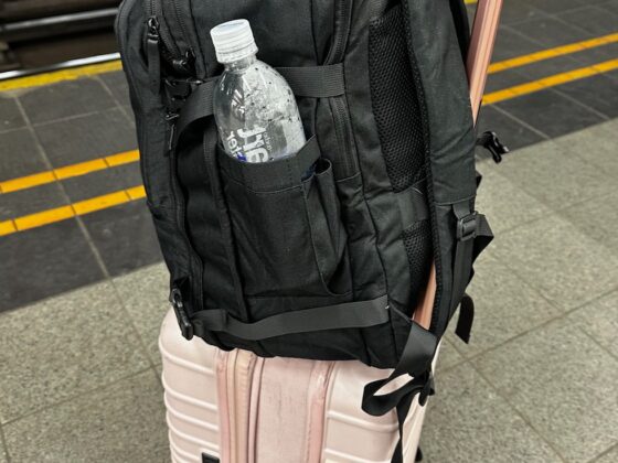 Bagsmart Travel Backpacks: Style That Moves With You