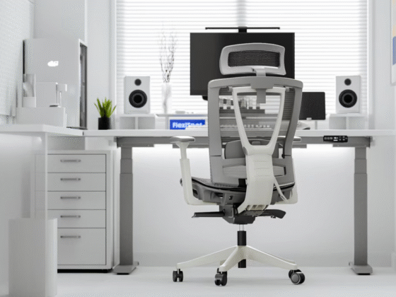 Warum FlexiSpot Ihr Homeoffice in eine Produktivitätszone verwandelt