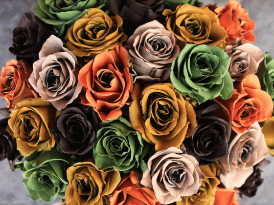 Rosaholics Transforms Ordinary Moments into Luxe Floral Statements