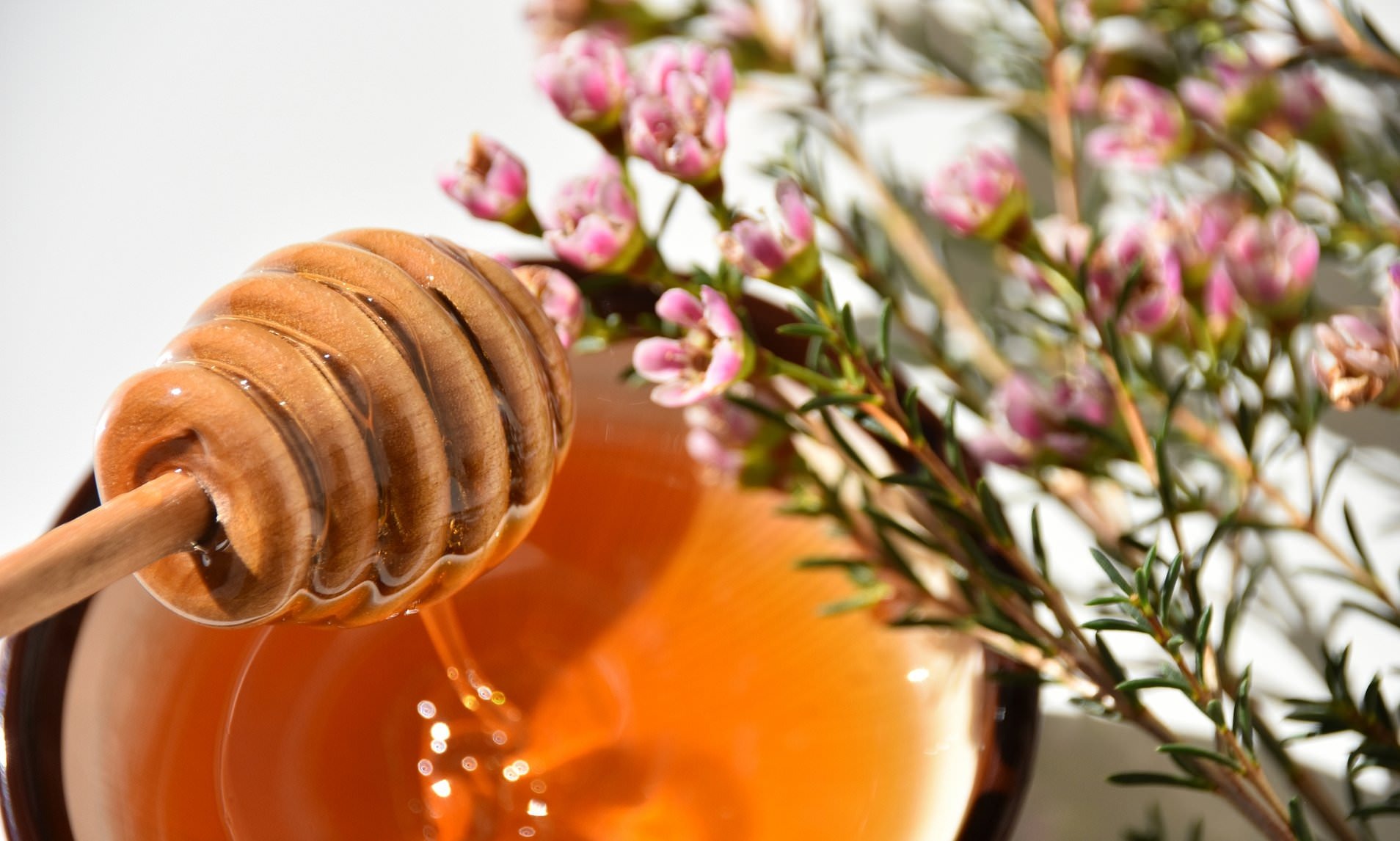 Discover the Power of Manuka Doctor Manuka Honey: Nature’s Most Luxurious Everyday Ritual